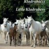 Kladrubáčci - Emilka a kouzlo ročních / Little KLadrubers - Emi's Four Magical Seasons - Image 2