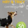 Hry a triky pro chytrého psa - 50 skvělých her pro výcvik plný zábavy - Image 2