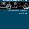 Ultrasonografie v intenzivní a urgentní medicíně - Image 2