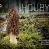 Houby Berounska a Hořovicka - Za tajemstvím hub od Křivoklátska a Brd až po Český kras - Image 2