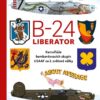 B-24 Liberator - Kamufláže bombardovacích skupin USA AF za 2. světové války - Image 2