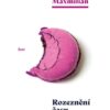 Rozeznění času - Implicitní estetika Marcela Prousta - Image 2