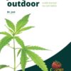 Jak pěstovat "OUTDOOR" aneb konopí na zahrádce - Image 2