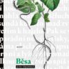 Běsa - Image 2