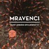 Mravenci - Život lesního společenství - Image 2