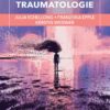 Psychotraumatologie - Image 2