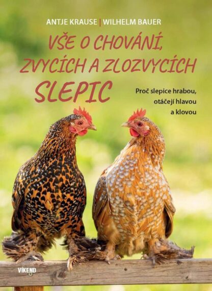 Vše o chování, zvycích a zlozvycích slepic - Proč slepice hrabou, otáčejí hlavou a klovou