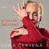 Stýskání zakázáno - 2 CD - Image 2
