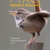 Ptáci Hradce Králové - Image 2