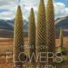 Flowers of the Earth - Image 2