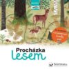 Procházka lesem - následuj cestu - Image 2
