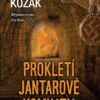 Prokletí jantarové komnaty - Image 2