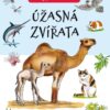 Můj první atlas - Úžasná zvířata - Image 2