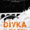 Dívka u mostu - Islandská krimi - Image 2