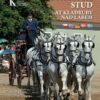 National Stud at Kladruby nad Labem - Image 2