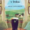 Domek v Irsku - Image 2