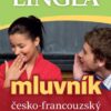 Česko-francouzský mluvník - Image 2