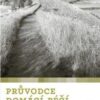 Průvodce domácí péčí pro ty, kteří péči zvažují, pro ty, kteří ji poskytují - Image 2
