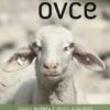 Chováme ovce - Ideální zvířata k domu a na dvůr - Image 2