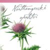 Northangerské opatství - Image 2