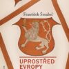 Uprostřed Evropy - České země na konci středověku - Image 2