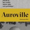 Auroville - Image 2