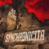 Synchronicita - Image 2
