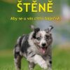 Štěně - Aby se u vás cítilo báječně - Image 2