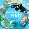 Koloběh vody - Fascinující proměny ve vodní říši - Image 2