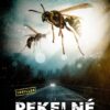 Pekelné léto - Image 2