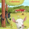 Statek v ohrožení - Image 2