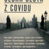 Česká cesta z covidu - Image 2
