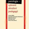 Sociální patologie - vybraná ohrožení pedagogů - Image 2