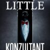 Konzultant - Image 2