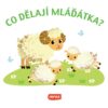 Co dělají mláďátka? - Image 2