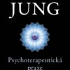 Psychoterapeutická praxe - Image 2