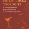 Příliš lidská teologie? - K antropologickému projektu zkušenosti u Edwarda Schillebeeckxe - Image 2