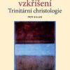 Perspektiva vzkříšení - Trinitární christologie - Image 2