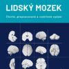 Lidský mozek - Image 2