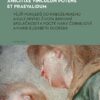 Amicitiae vinculum potens et praevalidum Vějíř pohledů do náboženského a kulturního života barokní společnosti k poctě Ivany Čornejové a Marie-Élizabeth Ducreux - Image 2