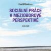 Sociální práce v mezioborové perspektivě - Image 2