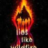 Lies Like Wildfire - Image 2