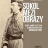 Sokol mezi obrazy - Teorie umění, estetika a umělecká kritika Miroslava Tyrše - Image 2