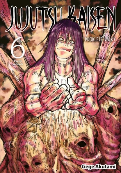 Jujutsu Kaisen Prokleté války 6 - Černý záblesk