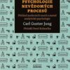 Psychologie nevědomých procesů - Přehled moderních teorií a metod analytické psychologie - Image 2