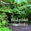 Beskydské studánky - Image 2