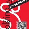 Polština (nejen) pro samouky + mp3 zdarma - Image 2