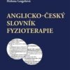Anglicko-český slovník fyzioterapie - Image 2