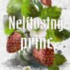 Nelítostný princ - Image 2