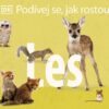 Podívej se, jak rostou: Les - Image 2